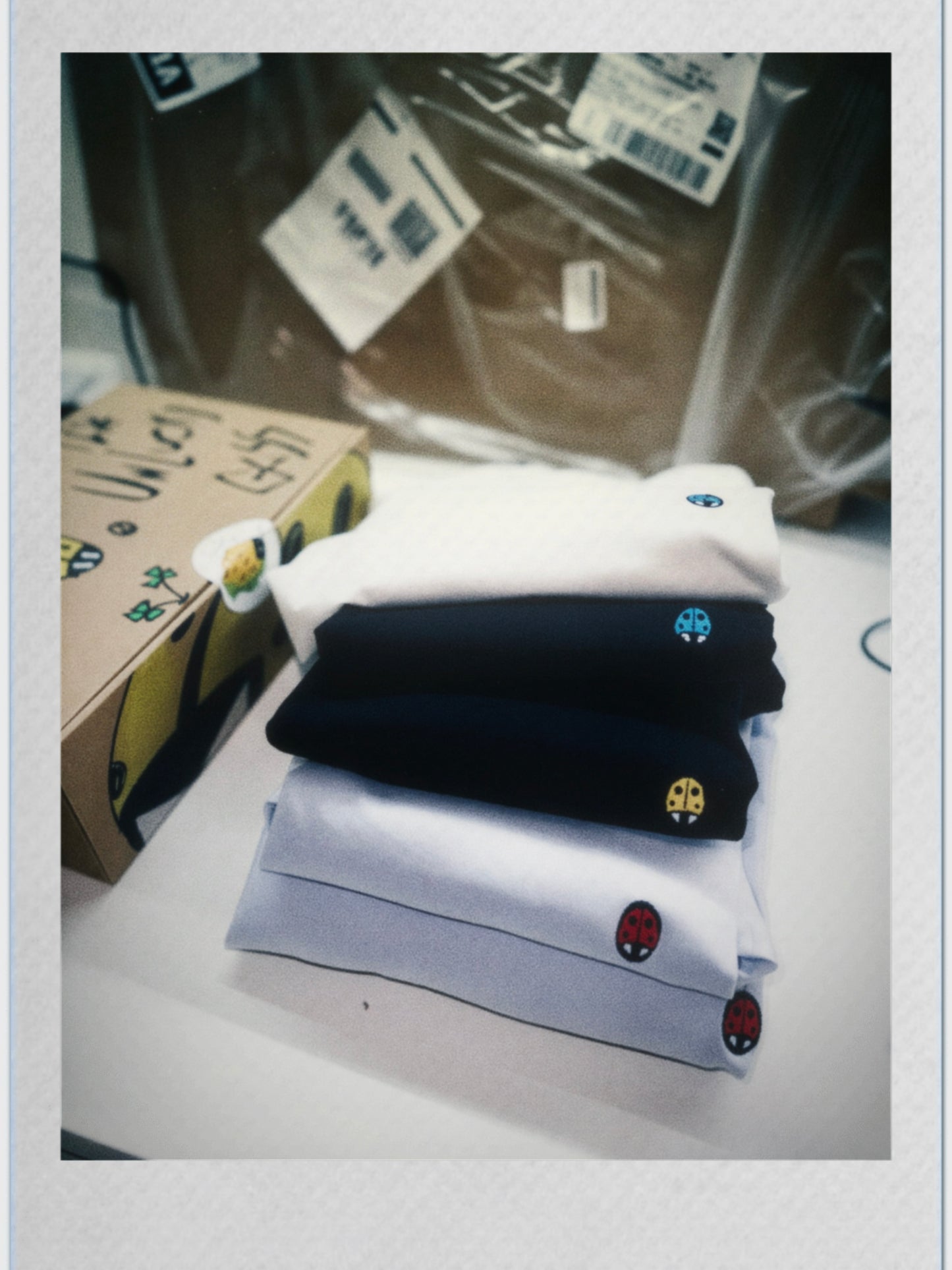 LADYBUG TEE - MYSTERY BOX